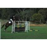 Reynella